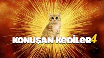 Konuşan Kediler 4 - En Komik Kedi Videoları - Dublaj Turkey
