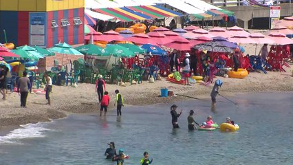 전국에 폭염 특보...해수욕장으로 이어지는 피서객 발길 / YTN