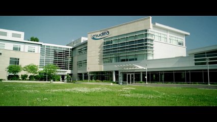 Algorithm Bliss 🎬: A Thrilling Blend of Horror, Romance, Sci-Fi & Fantasy