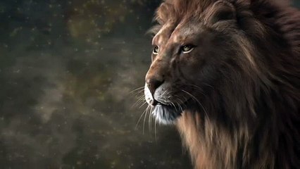 Cadmium X Caravn - Kingdom _ ♫ Copyright Free Music