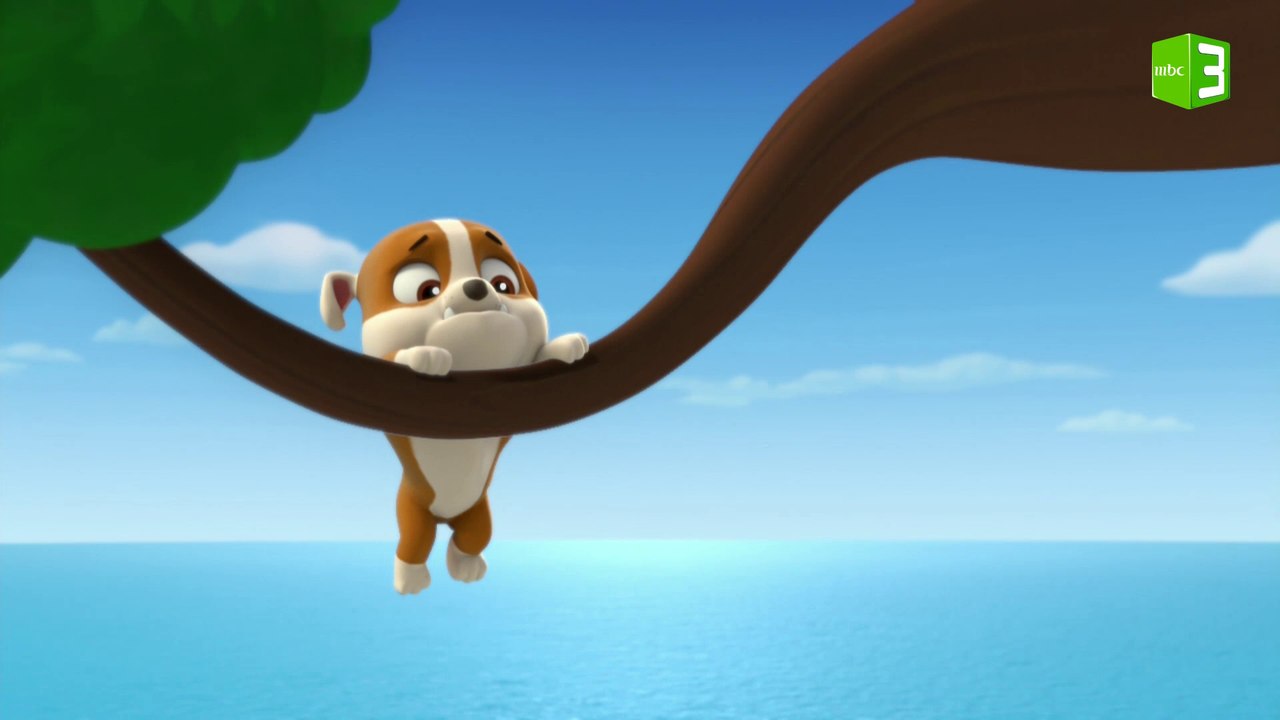 الجرو العالق على الشجرة 