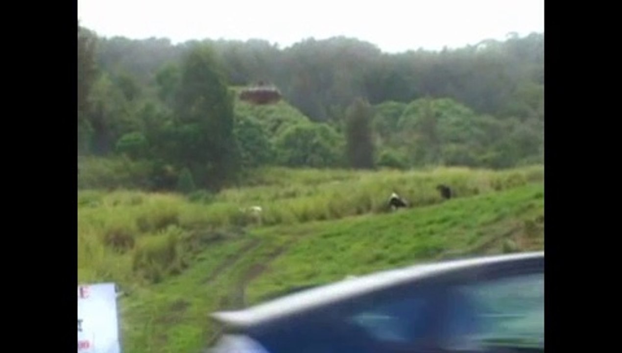 Authentic UFO Sighting Metalic Object Over 50 feet Wide! OVNI