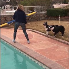 POOL PARTY New Summer Funny Fail Videos