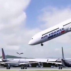 Fanny Illustration: Aroplen and Kaua Dancing