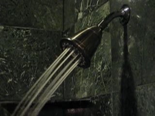 Water-saving Tri Spa 2.5GPM Showerhead