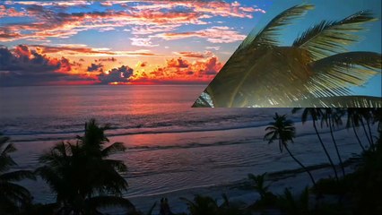 Beautiful aerial shot of beach ,beach song 2020