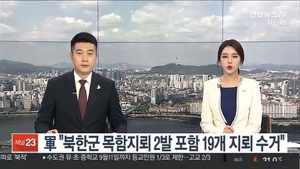 軍 "북한군 목함지뢰 2발 포함 19개 지뢰 수거"
