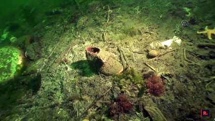 17 Ağustos depremine dikkat çekmek için 'batık şehri' görüntülediler