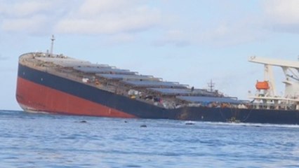 Se parte en dos el carguero que vertió petróleo en aguas de Mauricio