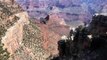 Stock Footage 2020 Grand Canyon Vistas