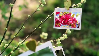 50.Forever Seeking by Danbi - Relaxing Piano Music for Love, Working, Stress Relief Sleeping