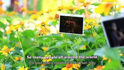 55.Take Me To Your Heart 吻别 (English version with Lyrics) - Jin Chi 金池