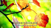 56.Botgon Duu (驼羔之歌) by Kan Kan (侃侃) - Chinese Music with Lyrics