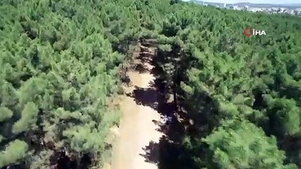 Aydos ormanında dronelu mangal denetimi