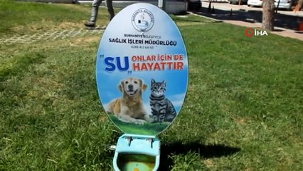 Hayırsever vatandaş can dostlarına barınak kazandırdı