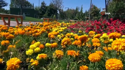 -2 milyon 470 bin metrekare yeşil alana bakım