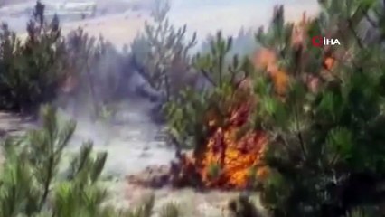 - Raylardan sıçradığı iddia edilen kıvılcım yangın çıkardı