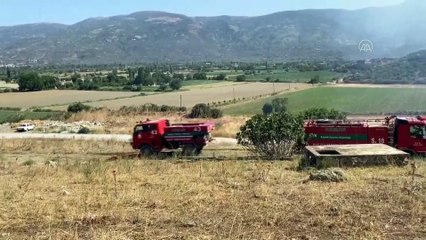 Tire'de makilik alanda yangın - İZMİR