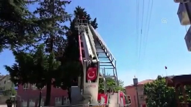 Papağanı kurtarmak isterken ağaçta mahsur kalan kişiyi itfaiye kurtardı - ZONGULDAK