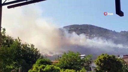 Evde çıkan yangın zeytinliğe sıçradı