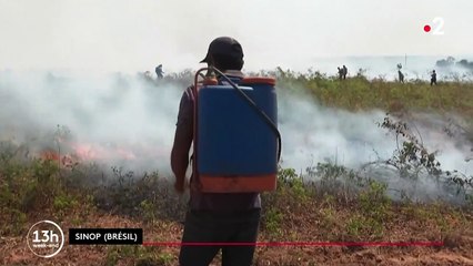 Environnement : l’Amazonie brûle et le gouvernement brésilien regarde ailleurs