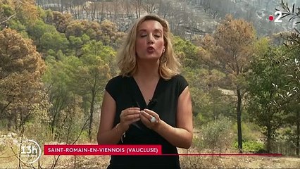 Vaucluse : 100 hectares partis en fumée dans un incendie