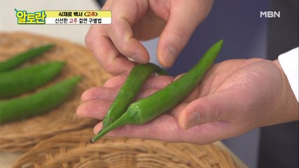 ※주목!!※ 신선한 [고추] 고르는 비법 대공개!