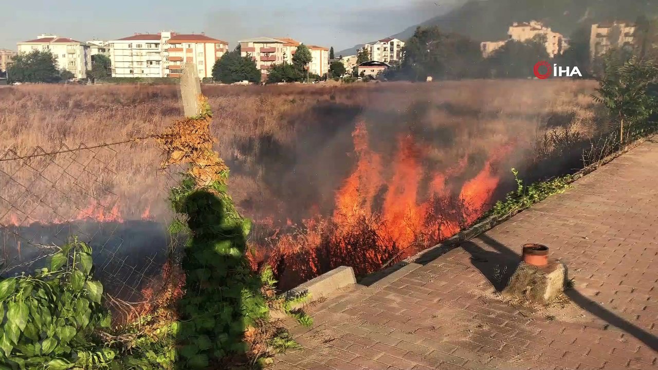 Şehir merkezindeki kuru otlar cayır cayır yandı