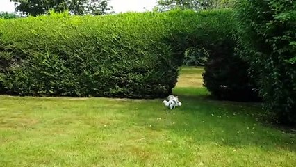 Les 2 petits au jardin