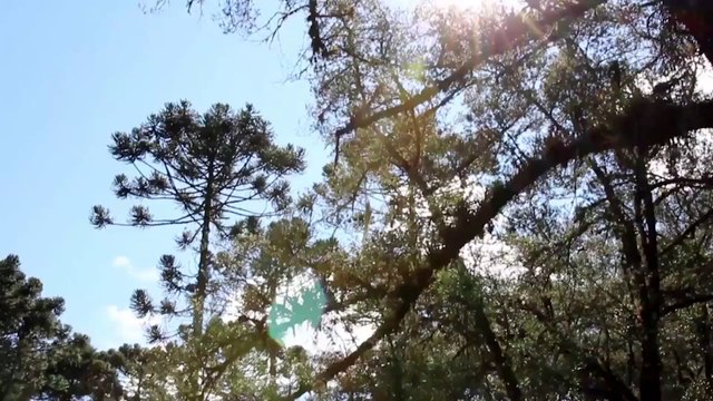 João Paulo de Carvalho Lofiego Moda Infantil Princesas Episódio (4)