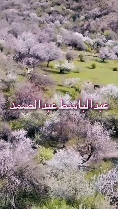 _هو الله الذي لا اله الا هو _مقطع قران قصير تلاوة خاشعة من روائع الشيخ عبدالباسط عبدالصمد(720P_HD)_1