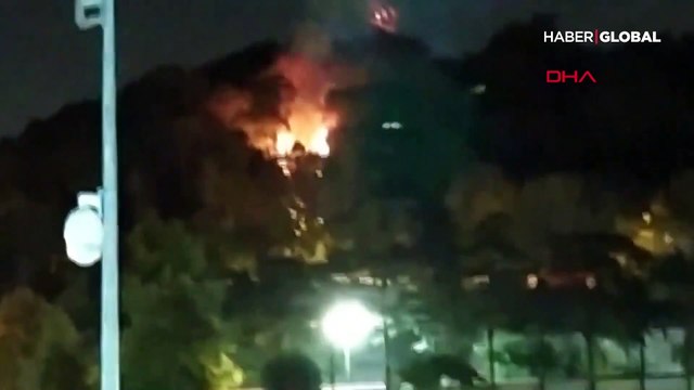 Sarıyer Emirgan Korusu'nda yangın çıktı!