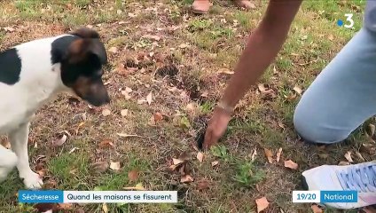 Sécheresse : quand les maisons se fissurent