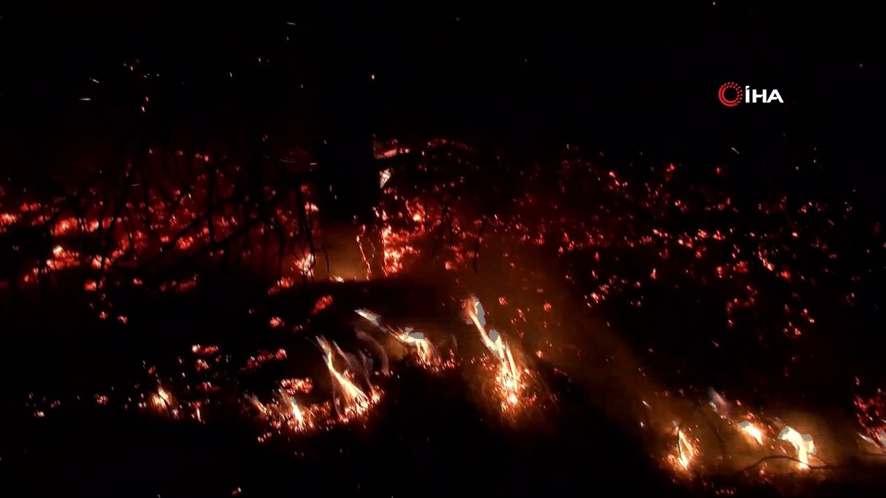 Başkent’te ormanlık alanda yangın