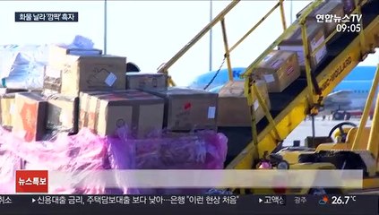 화물로 위기 넘은 대형 항공사…화물기로 개조도 추진