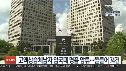 고액상습체납자 입국때 명품 압류…올들어 74건