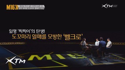 일명 찍찍이! 밸크로의 시작은 식물이었다?