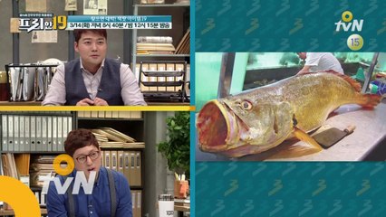 [선공개] 잡으면 잭팟! 몸값 5억(?)의 못난이 생선