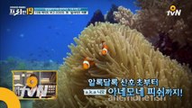 일석이조 여행! 필리핀의 숨겨진 보석, 보홀 섬