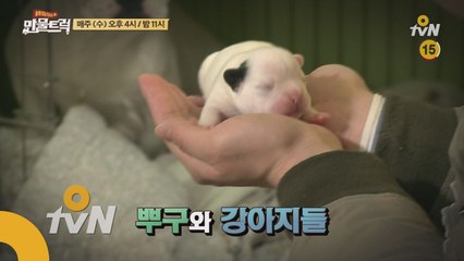 [5회예고] 충북 충주로 GO! '스페셜 게스트' 떴다?