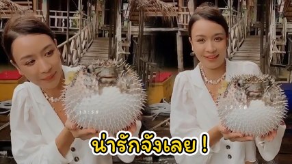 เบนซ์ ปุณยาพร งานเข้า หลังโพสต์คลิปอุ้มปลาปักเป้า ชาวเน็ตชี้ไม่ควรทำ