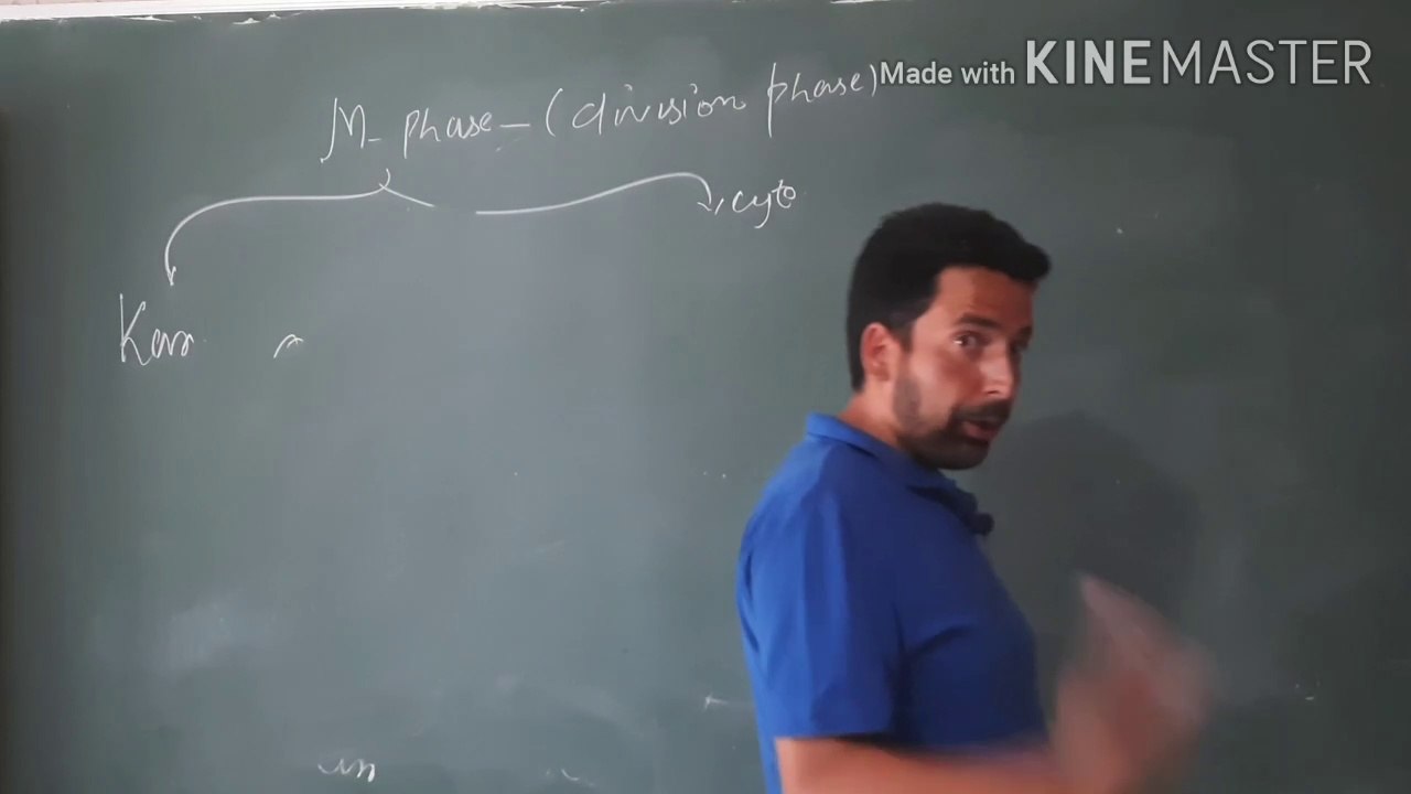 Cell Cycle Lecture 02