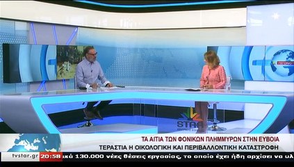 O Δρ. Περιβάλλοντος, Β. Λύκος, στο STAR K.E.