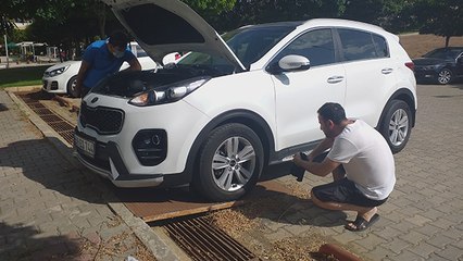 İnatçı kedi!