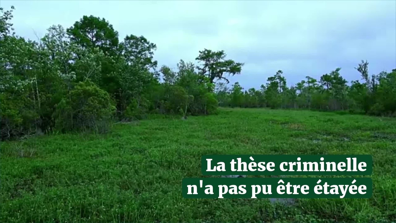 Disparition de Michel Kasprzak dans l'Yonne : un an après, l’enquête toujours en cours
