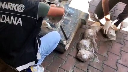 Minibüsün yakıt deposunda esrar ele geçirildi - ADANA