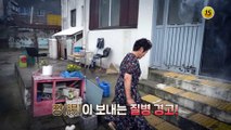 내 몸을 지키는 황금비율 8:2의 비밀_명심보감 1회 예고