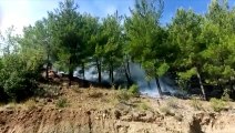 Silifke'de orman yangınına müdahale ediliyor - MERSİN