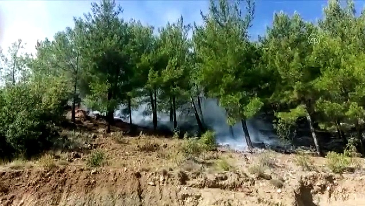 Silifke'de orman yangınına müdahale ediliyor - MERSİN