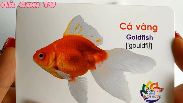 Các loại cá, động vật dưới nước | Dạy Bé Đọc Tên Động Vật Dưới Nước